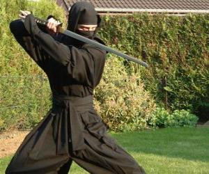 yapboz Ninja savaşçısı ve katana ile mücadele